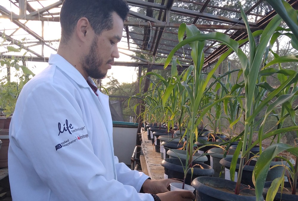 Cientista baiano utiliza vegetação da Caatinga para criar produto que deixe outras plantas mais resistentes à seca