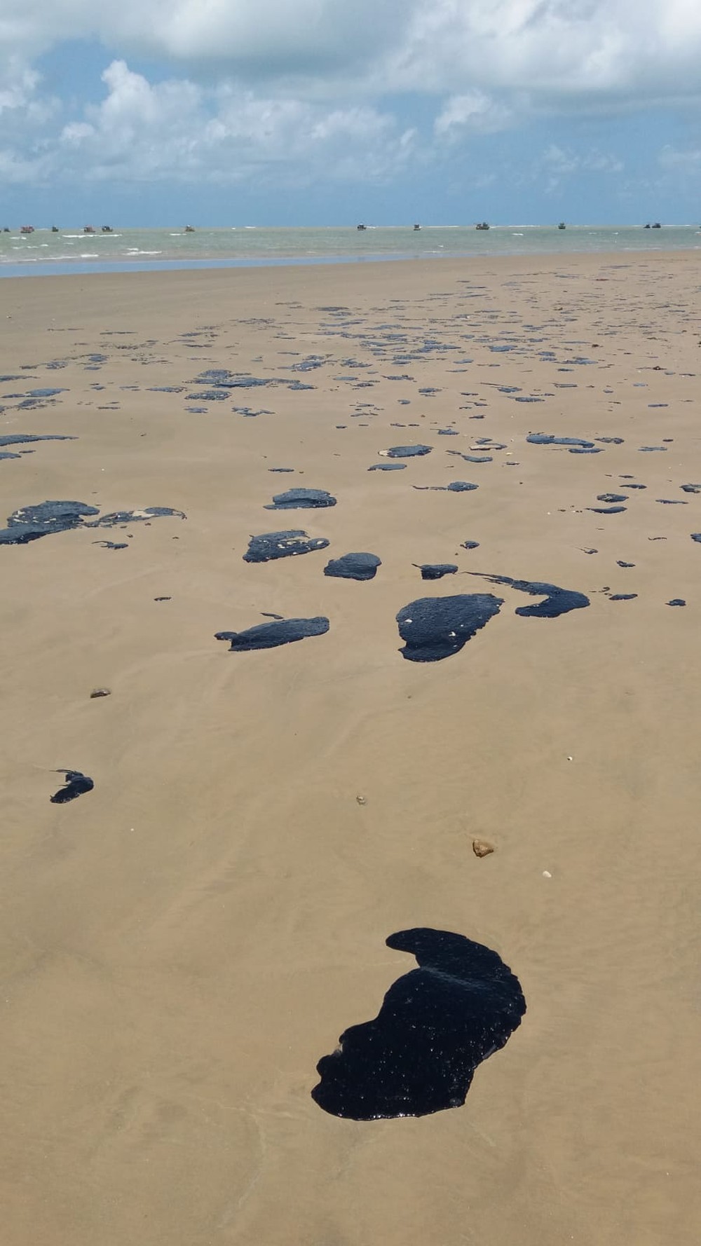 Sergipe já recolheu 900 toneladas de óleo nas praias